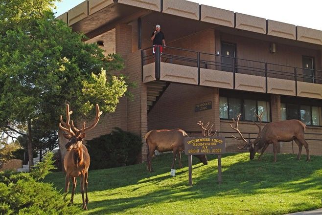 Kachina Lodge Grand Canyon 외부 사진